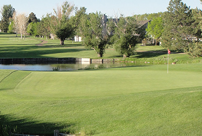 view of golf course green