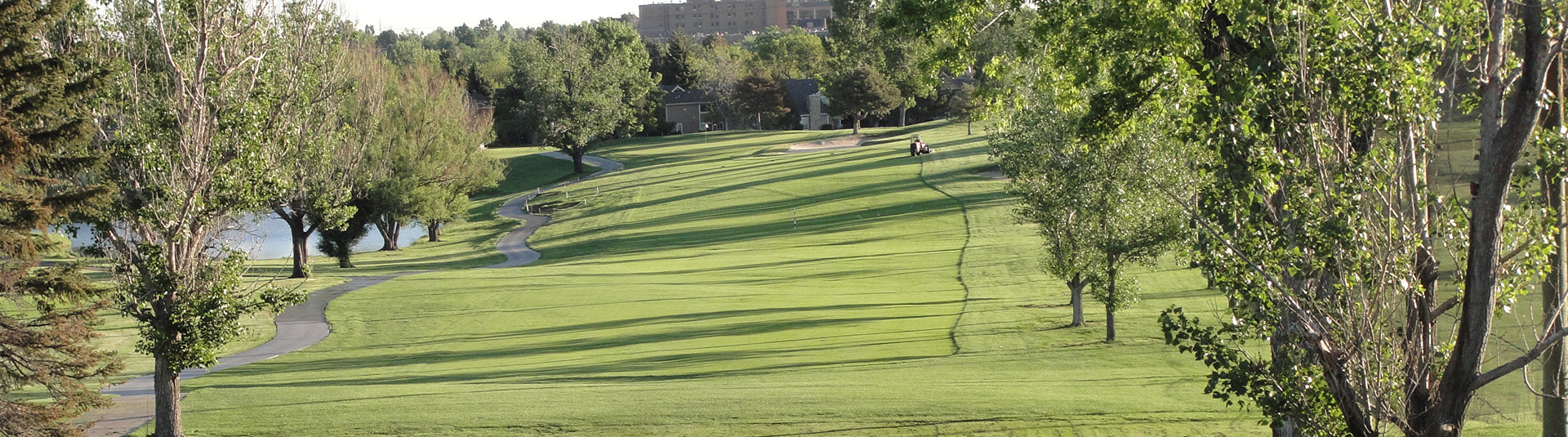 golf course green